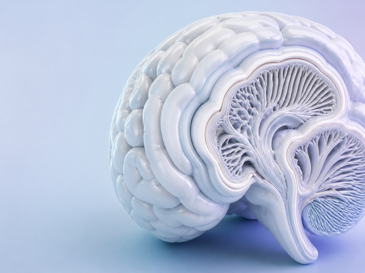 Visualización tridimensional de una sección del cerebro humano